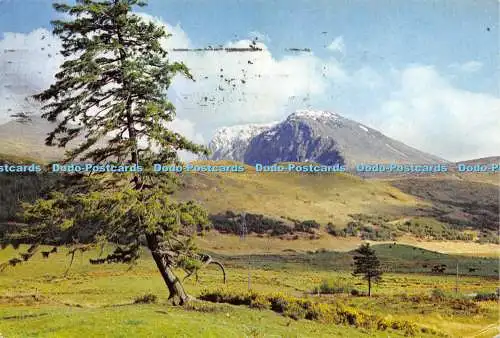 D022072 Ben Nevis. The North East Face. Fort William. Inverness Shire. Dixon. 19