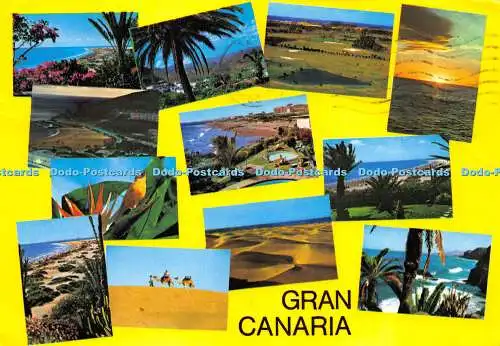 D017380 Gran Canaria. Manuel Brito Auyanet. Brito. Multi View