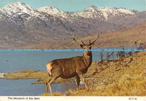 D022173 The Monarch of the Glen. Heil Caledonia. Whiteholme. 1983