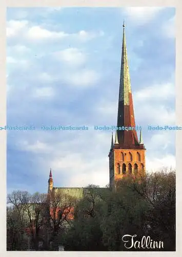 D020396 Tallinn. Kirche St. Olavs. Ann Tenno. Estland