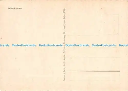 D017434 Alpenblumen. A. Kiener. Multi View