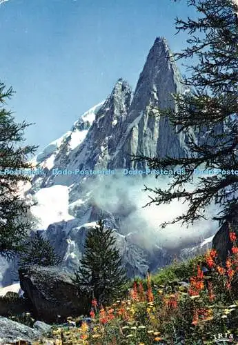 D020408 Chamonix. Mont Blanc. Les Drus et lAiguille Verte depuis le Montenvers.