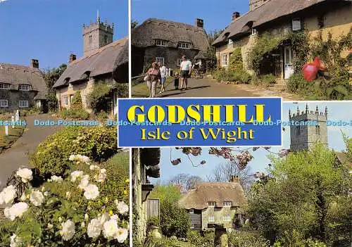 D020476 Godshill. Isle of Wight. Lachs. Multi View