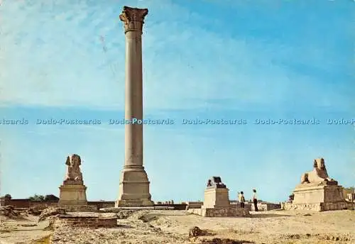 D017526 Alexandria. Pompys Säule. Krüger