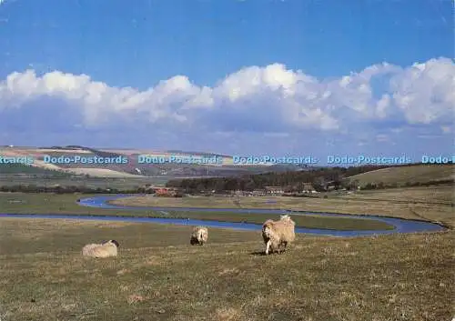 D020558 The Cuckmere Valley and Seven Sisters Country Park. Richter. 1991