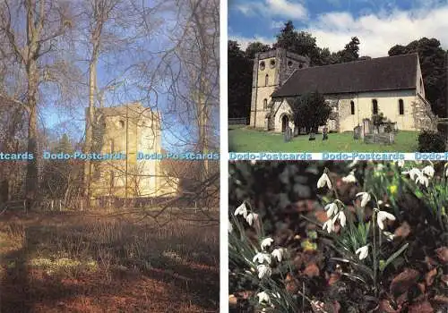 D017767 Unsere Liebe Frau von Warnford und die Warnford Schneeglöckchen. Richter. Multi View