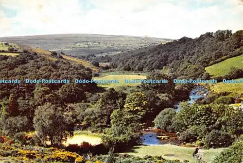 D017782 Dartmeet. South Devon. Dixon. 1974