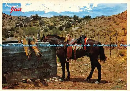 D017822 Es ist nur ein alter Western-Brauch und wenn Sie trocken sind, sind Sie trocken, also ist es j