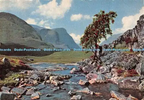 D017893 Pass of Glencoe. Argyllshire. Schottische Bildserie. Valentinstag