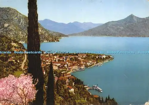 D017920 Menaggio. Lago di Como. Brunner