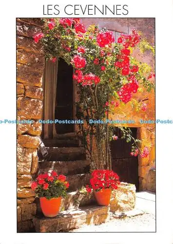 D022689 Les Cevennen. Pas de porte fleuri. Meridionales
