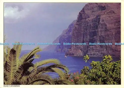 D018008 Islas Canarias. 90. Acantilado de los Gigantes. Imagina. Tullio Gatti