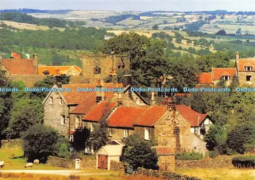 D022971 Goathland. North York Moors. Richter