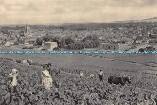 D023152 Champagner Pommery und Greno. Reims. Ay. Gesamtansicht. Erstes Wachstum von Bl