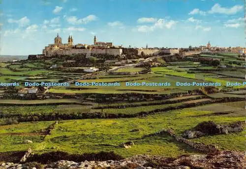 D023192 Malta. Tal jenseits der Bastionen von Mdina. Krüger