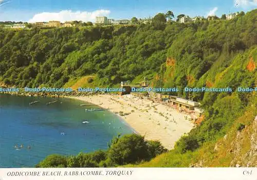 D023559 Oddicombe Beach. Babbacombe. Torquay. Europa Karten. Nell Metcalfe. 1990