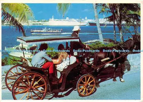 D023703 Touring Hamilton Harbour. Bermuda von romantic Horse and Buggy. Tropic Tr