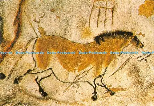 D033963 N.974. Montignac. 24 Dordogne. Grotte Prehistorique de Lascaux. La Chev