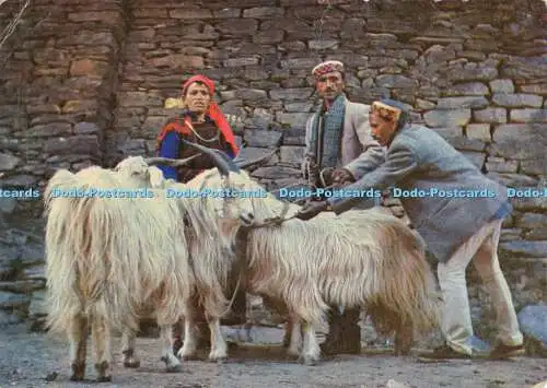 D034470 167. Blick von Himachal Pradesh. A.M.T.C. Produkt. MTC