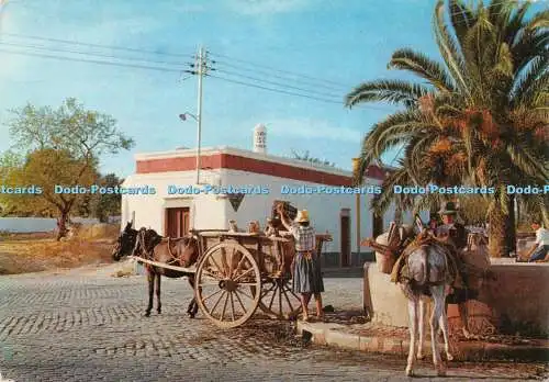 D034610 Algarve. Wasser trägt Ziehwasser aus dem Brunnen. Mod. 523. Pr. Portug