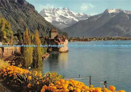 D035554 Lac Leman. Le Chateau de Chillon et les Dents du Midi. Editionen. Jaeger