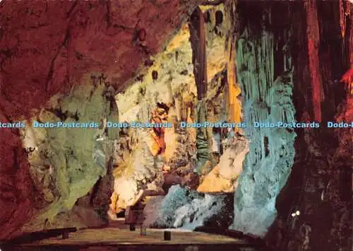 D035783 Gibraltar. St. Michaels Höhle. Befindet sich am 1. 000. ft. über dem Meeresspiegel. C