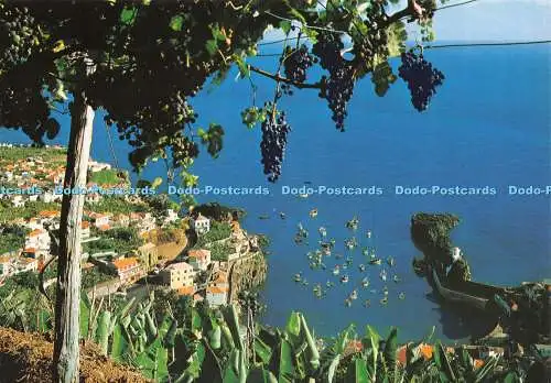 D035877 Madeira. Camara De Lobos. Fischerdorf. Hans Huber. KG. Garmisch Teil