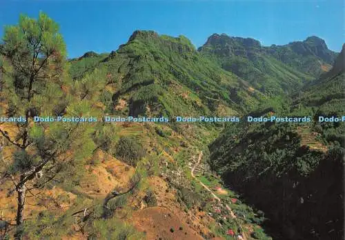 D035881 Madeira. Inland Mountaine. Hans Huber. KG. Garmisch Partenkirchen. F. Ri