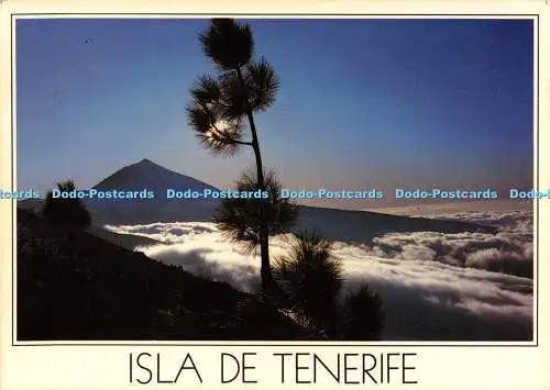 D070406 Isla de Tenerife. Islas Canarias 117. Mirador de Orduno. Imagina. Jose M