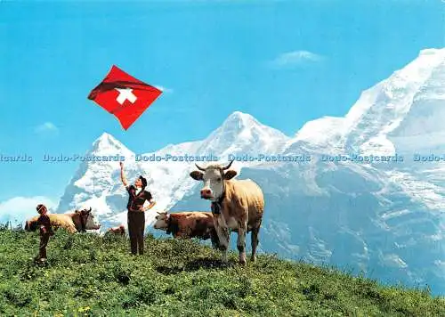 D067709 Schildalp. Murren. Berner Oberland. Rowesa AG
