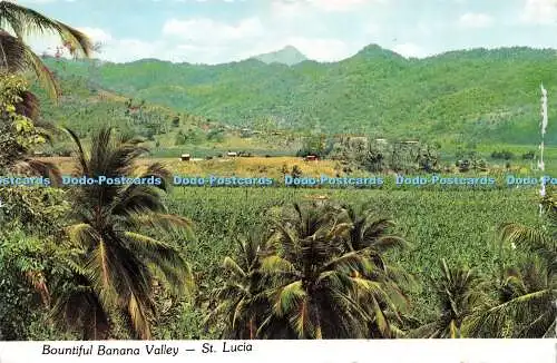 D067854 Bountiful Banana Valley. St. Lucia. Arkade Noah. Plastichrom