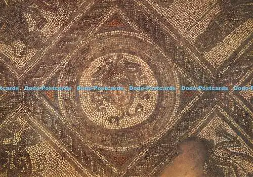 D070581 Isle of Wight. Brading. Römische Villa. Mosaikpflaster aus dem 3. Jahrhundert. Medus