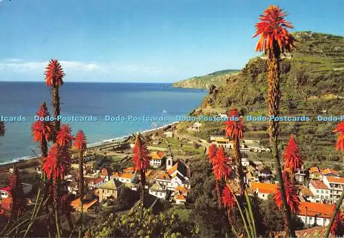 D070738 Madeira. Ribeira Brava Village. Hans Huber KG. Fisa I.G. Francisco Ribe