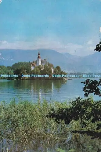 D068060 Bled. 1976. Zaloznik Specerija Bled. Tisk. GP Gorenjski Tisk. kranj