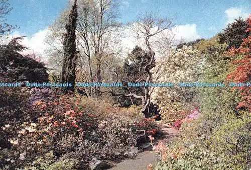 D071975 Denbigshire. Bodnant. in den Nordgärten. J. Arthur Dixon