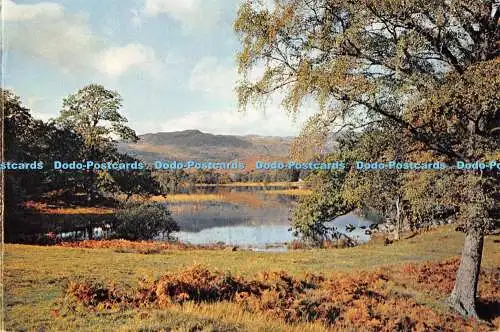 D072255 Lake District. Rydal Wasser vom östlichen Ende mit Blick auf Hügel jenseits von Gr