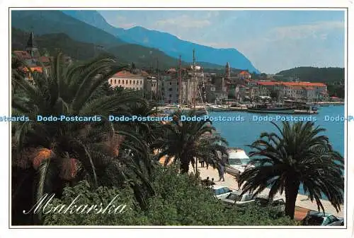 D072492 Makarska. I. Veneti. Dubrovnik. Kroatien. 1997. Fokus