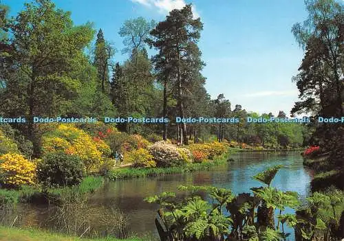 D073926 Einer der sieben Seen. Leonardslee Gardens. J. Lachs