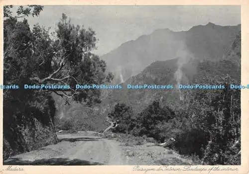 D072755 Madeira. Landschaft des Innenraums. Athen und Haupt