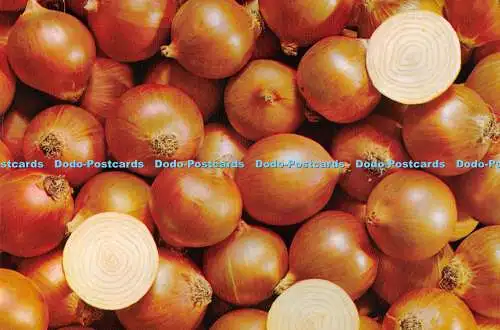 D072890 Spanische Zwiebeln. Sindicato Nacional de Frutos Y Productos Horticolas. Gru