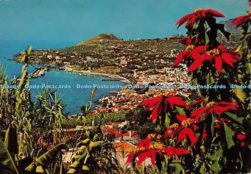 D073027 Funchal. Madeira. Western View. Hans Huber. Garmisch Partenkirchen. F.R