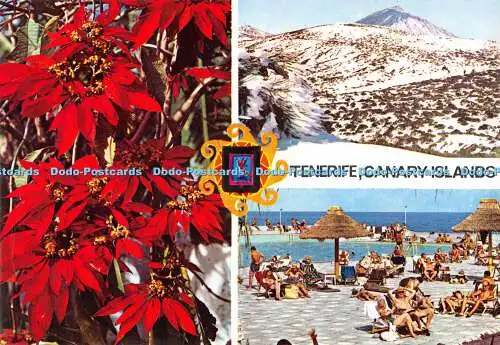 D074599 Teneriffa. Kanarischen Inseln. Nr. 308. Escudo de Oro. Fisa. Foto Suminstros.