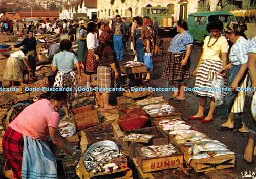 D077072 1039. Portugal. Mercado do Peixe. Zavcolor. Zav
