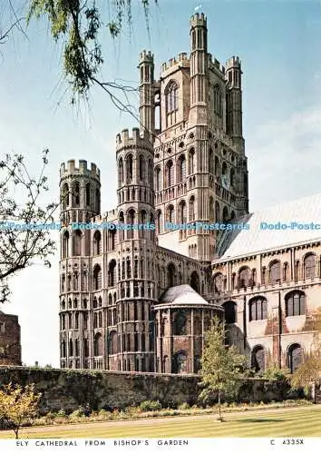 D077148 Ely Cathedral from Bishops Garden. C 4335X. Richter