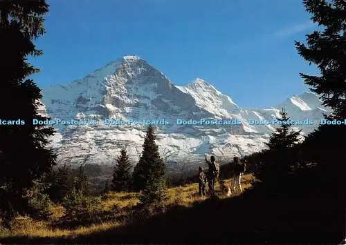 D077307 Grindelwald. Eiger. Mönch und Jungfrau. Nr. 11. Ernst Schudel. Ernst Sch