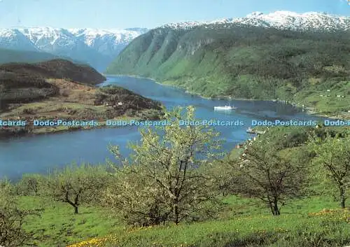 D076093 Norwegen. Blick auf Ulvik. Hardanger. Enerett. Knut Aune. Ultra. 1983