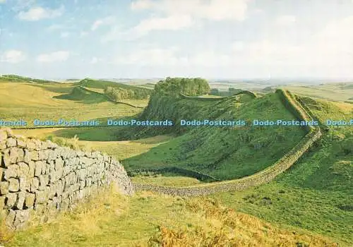 D074953 P.1. Housesteads Roman Fort. Northumberland. Blick auf den Hadrianswall von