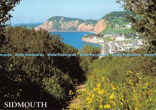 D073575 Sidmouth. East Devon. Blick vom Salcombe Hill. J. Salmon. Kamerafarbe