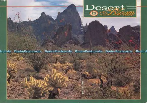 D073589 Desert in Bloom. Smith Southwestern. Randy A. Prentice. 1996