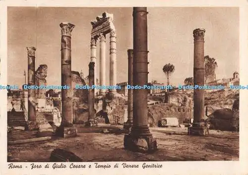 D074978 Roma. Foro di Giulio Cesare e Tempio di Venere Genitrice. E. Richter. Ro